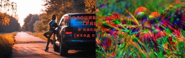 mix Арсеньев