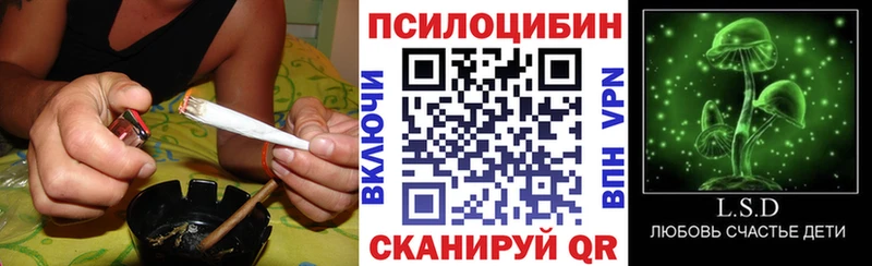 Псилоцибиновые грибы мицелий Купить Губкин