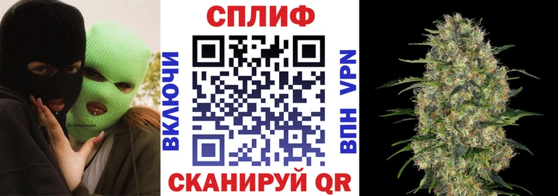 Шишки марихуана марихуана Губкин