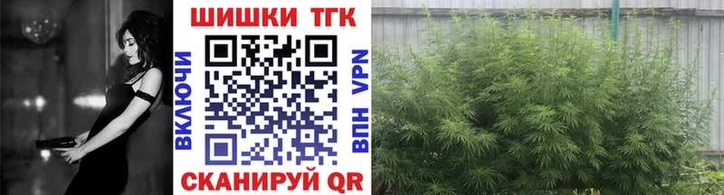 Купить закладки  Губкин  Шишки марихуана индика 